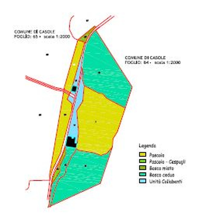 Mappa dell'uso del suolo della proprietà: pascolo, pascolo cespugliato, bosco misto, bosco ceduo e le due unità collabenti